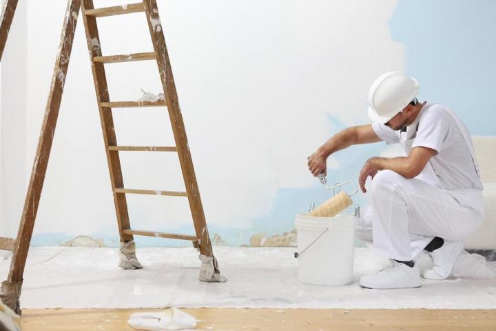 Wall Covering Dinan